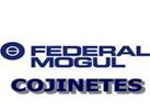 federalmogul